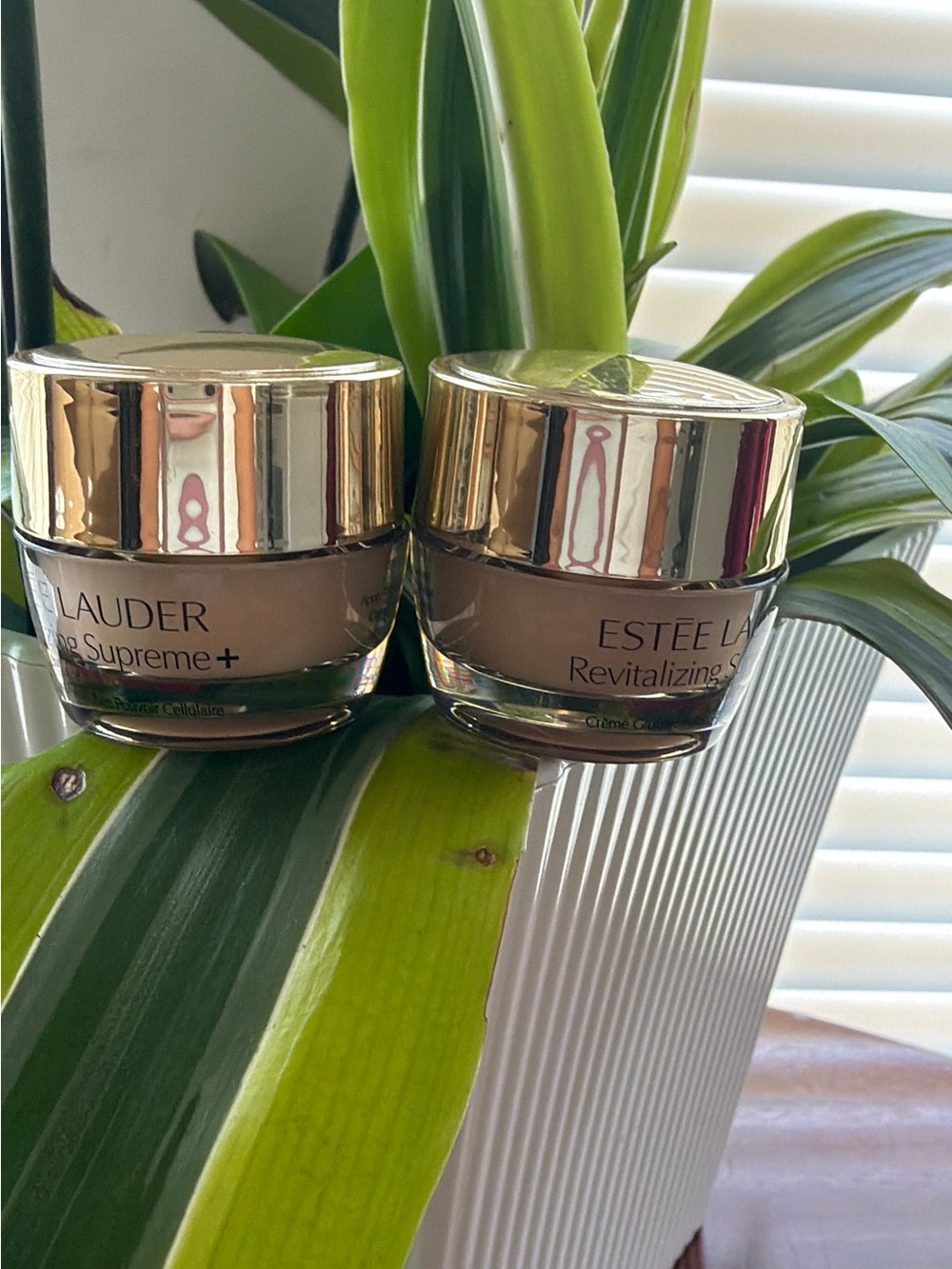 BUNDLE of 2 , Estee Lauder Small Glass Face Cream Jars with Shiny Gold Lids - Picture 3 of 6